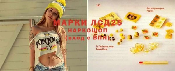 шишки Волосово